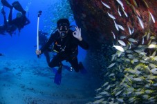 Immersione Subacquea Nel Mar Ligure 