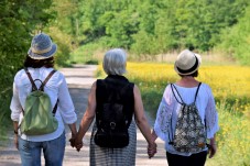 Guided Bear and Wolf Sanctuary Tour with Transport from Budapest