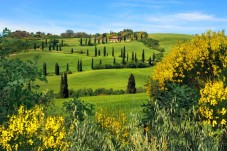 Passeggiata a cavallo con pic-nic toscano in Val di Chiana