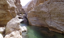 Overnight adventure to Sur and the Turtle Reserve from Muscat