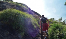 Hiking tours - Pico da Tijuca