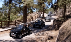 Cabriolet tour in Gran Canarias south