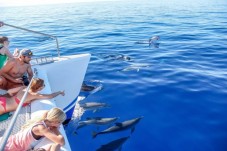 Fuga da Sogno a Madeira per Due – 4 Notti con Voli Inclusi