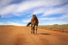 Una settimana con mezza pensione in agriturismo e 6 passeggiate a cavallo