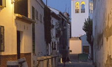 Walking tour at twilight: Albayzin and Gipsy Sacromonte in Granada