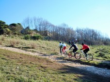Escursione in bici con con maestro federale