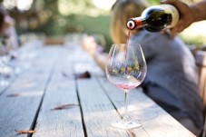 Degustazione vini e percorso guidato tra i vigneti della Valpolicella