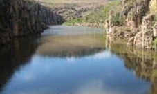 Zip lines and hanging bridges adventure in Aguascalientes