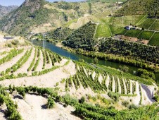 Crociera sul Douro verso Regua