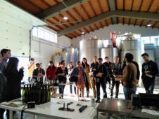 Degustazione di vino con visita alla cantina Sicilia