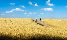 Tour in bicicletta 