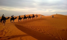 Safari nel Deserto & Cena con BBQ