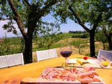 Wine Lovers Experience A Montepulciano