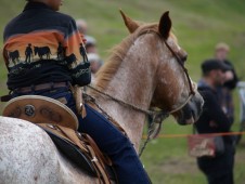 Passeggiate a Cavallo con Pin-nic