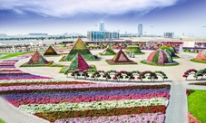 Flora and Fauna Tour in Dubai