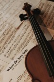 Lezione Privata di Violino - Milano
