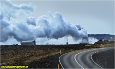 Tour a guardare il puffino da Reykjavik