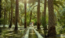 Private tour to the oasis city of Al Ain