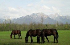 Weekend a Cavallo in Emilia Romangna