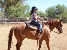 Esperienza di primo contatto con il cavallo e introduzione alla sella per bambini nei pressi di Trento.