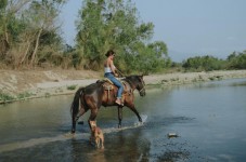 Passeggiata a Cavallo Conero nelle Marche