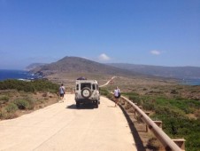 Gita in Barca nel Golfo di Orosei: Cala Luna, Mariolu e Grotta del Fico
