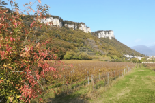 Visita Cantine con Degustazioni e Soggiorno in Veneto