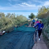 Olio di oliva bike tour - escursione guidata in e-bike tra colli e uliveti