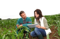 Soggiorno in Vigna con tour con agronomo
