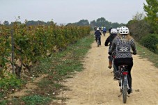 Tour in bici elettrica del Vino Nobile di Montepulciano
