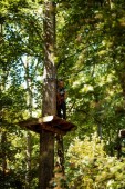 Avventura ed emozioni al Parco Cerwood 