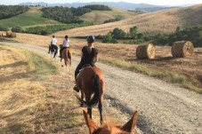Escursione a Cavallo con Pic-Nic tra le Colline della Toscana 