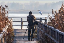 Birdwatching al Lago di Montepulciano