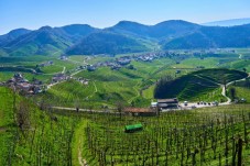 Colline del Prosecco in E-Bike