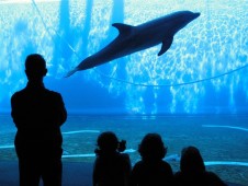 Biglietti d'Ingresso Acquario di Barcellona
