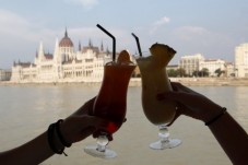 Crociera con cocktail sul Danubio