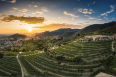 Degustazione Assaporiamo a Pieno la Franciacorta