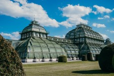 Vienna in famiglia con ingresso allo Zoo di Schönbrunn