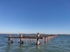 Segreti Della Laguna: Tour Dell’acquacoltura A Chioggia