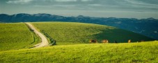 Soggiorno per 2 in Umbria
