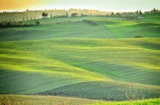 Escursione e Degustazione in Toscana