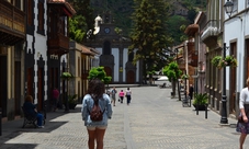 Guided tour in Gran Canaria with lunch