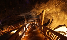 Super Saver Auschwitz and Wieliczka Salt Mine tour in 1 day