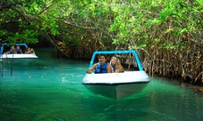 Jungle Adventure Tour