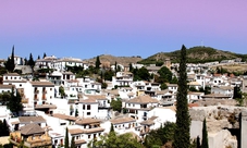 Guided tour of Granada: Into the Nasrid life
