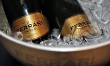 Visita Cantina Ferrari: Tour Gourmet e Pranzo con Degustazione Vini in Trentino