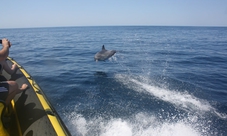 Insonia Tour - Caves & Dolphin Watching