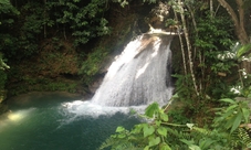 Rainforest adventure from Ocho Rios