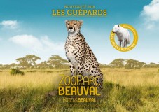 Zooparc De Beauval-billet 1 Jour