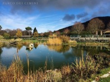 Soggiorno in famiglia di 2 notti nel resort Parco dei Cimini con visita al Parco dei Mostri